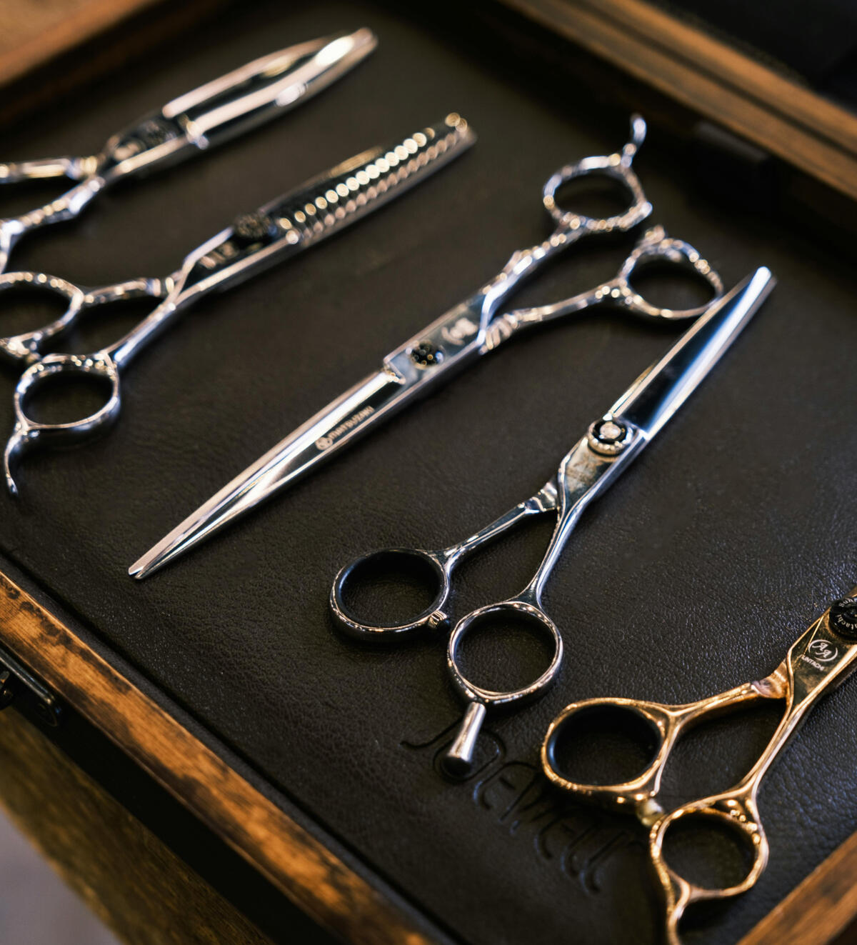 Sora Shears